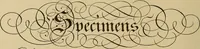 An illustration from Katalog der ornamentstich-sammlung des Kunstgewerbe-museums, mit 200 abbildungen (1894)