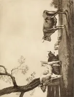 An illustration from Katalog der Sammlung Baron Königswarter in Wien : II. Abteilung: Gemälde alte Meister. Vorbesichtigung in Wien in der Kunsthandlung Friedrich Schwarz ... Vorbesichtigung in Berlin in der Kunsthandlung Eduard Schulte ... (1906)