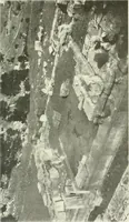 An illustration from Katalogos tou Mouseiou Lykosouras (1911)