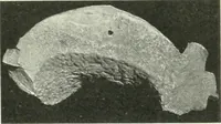 An illustration from Katalogos tou Mouseiou Lykosouras (1911)