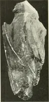 An illustration from Katalogos tou Mouseiou Lykosouras (1911)