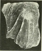An illustration from Katalogos tou Mouseiou Lykosouras (1911)