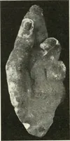 An illustration from Katalogos tou Mouseiou Lykosouras (1911)