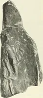 An illustration from Katalogos tou Mouseiou Lykosouras (1911)