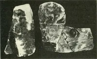 An illustration from Katalogos tou Mouseiou Lykosouras (1911)