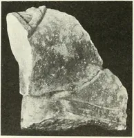 An illustration from Katalogos tou Mouseiou Lykosouras (1911)
