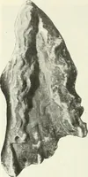 An illustration from Katalogos tou Mouseiou Lykosouras (1911)