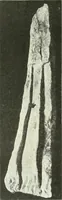 An illustration from Katalogos tou Mouseiou Lykosouras (1911)