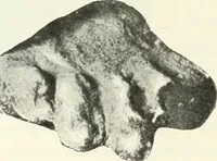 An illustration from Katalogos tou Mouseiou Lykosouras (1911)