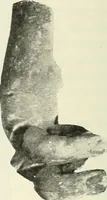 An illustration from Katalogos tou Mouseiou Lykosouras (1911)