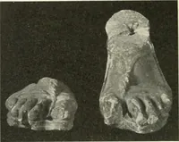 An illustration from Katalogos tou Mouseiou Lykosouras (1911)