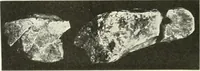 An illustration from Katalogos tou Mouseiou Lykosouras (1911)