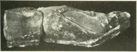 An illustration from Katalogos tou Mouseiou Lykosouras (1911)