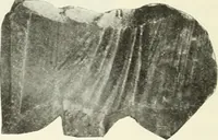 An illustration from Katalogos tou Mouseiou Lykosouras (1911)