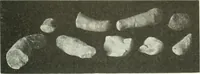 An illustration from Katalogos tou Mouseiou Lykosouras (1911)