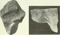 An illustration from Katalogos tou Mouseiou Lykosouras (1911)