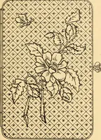 An illustration from Katechismus der Liebhaberkünste (1896)