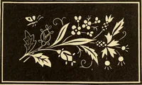 An illustration from Katechismus der Liebhaberkünste (1896)