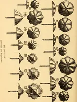 An illustration from Katechismus der Liebhaberkünste (1896)