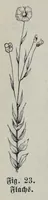 Picture 3 of 17 from Katechismus der Spinnerei, Weberei und Appretur, oder, Lehre von der mechanischen Verarbeitung der Gegespinstfasern (1890), leaf 56