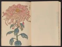 An illustration from Keika hyakugiku (1893)