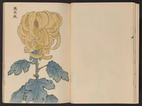 An illustration from Keika hyakugiku (1893)