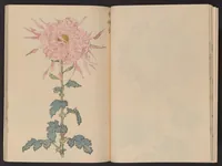 An illustration from Keika hyakugiku (1893)