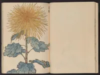 An illustration from Keika hyakugiku (1893)
