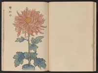 Picture 10 of 14 from Keika hyakugiku (1893), leaf 19