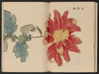 An illustration from Keika hyakugiku (1893)