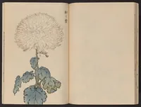 An illustration from Keika hyakugiku (1893)