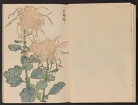 An illustration from Keika hyakugiku (1893)