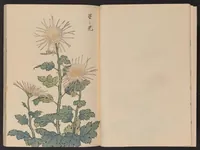 An illustration from Keika hyakugiku (1893)