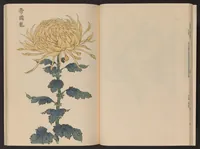 An illustration from Keika hyakugiku (1893)