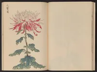 Picture 9 of 16 from Keika hyakugiku (1893), leaf 15