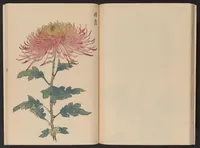 Picture 12 of 16 from Keika hyakugiku (1893), leaf 19