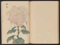 An illustration from Keika hyakugiku (1893)