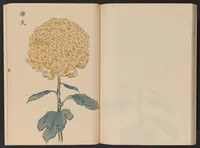 An illustration from Keika hyakugiku (1893)