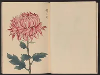 An illustration from Keika hyakugiku (1893)