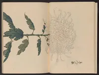 An illustration from Keika hyakugiku (1893)