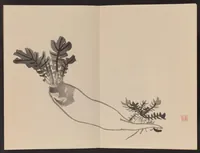 An illustration from Keinen shūgajō (1906)