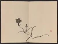 An illustration from Keinen shūgajō (1906)