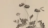 An illustration from Keinen shūgajō (1906)