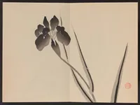 An illustration from Keinen shūgajō (1906)