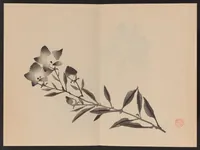 An illustration from Keinen shūgajō (1906)
