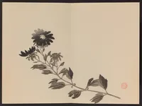 An illustration from Keinen shūgajō (1906)