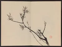 An illustration from Keinen shūgajō (1906)