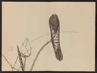 An illustration from Keinen shūgajō (1906)