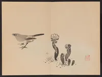 Picture 5 of 5 from Keinen shūgajō (1906), leaf 13