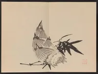An illustration from Keinen shūgajō (1906)